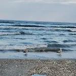 Your Escape To The * Năvodari