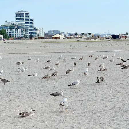 アパート Your Escape To The ナボダリ