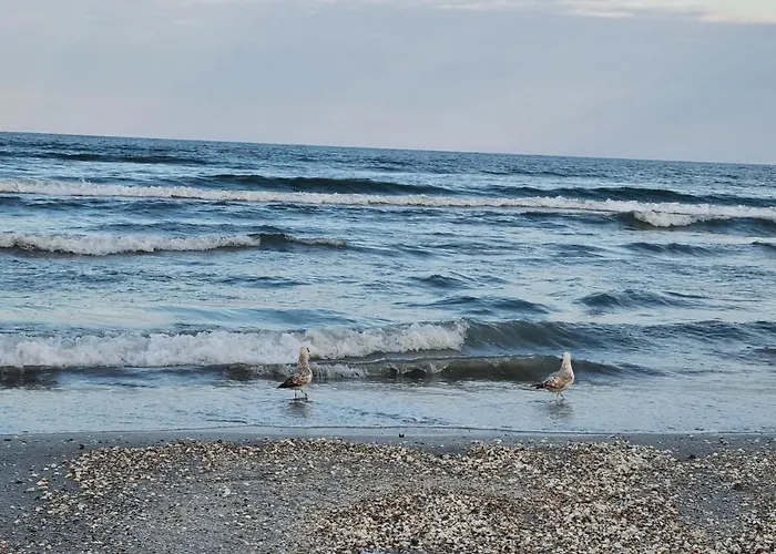 Your Escape To The * ナボダリ