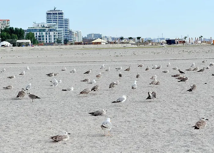 アパート Your Escape To The ナボダリ